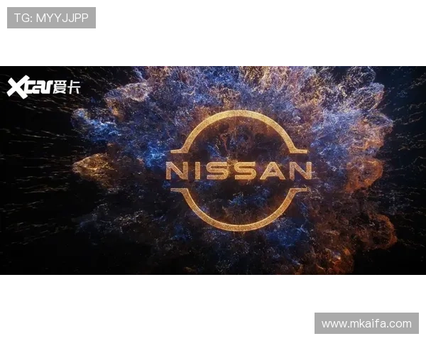 揭秘凯发登录入口背后的技术支持与开发团队故事